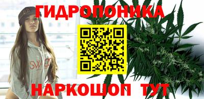 молекула духа Мариинск
